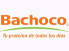 Bachoco